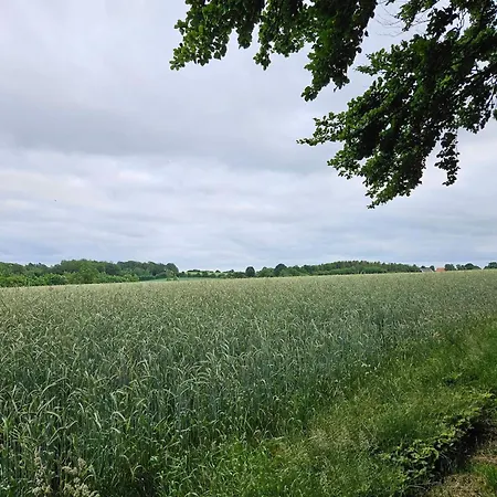 Appartement 4 Person In Hejls-by Traum *