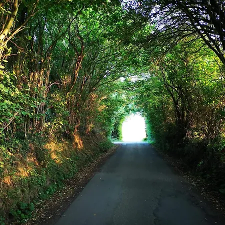 4 Person In Hejls-by Traum Διαμέρισμα *