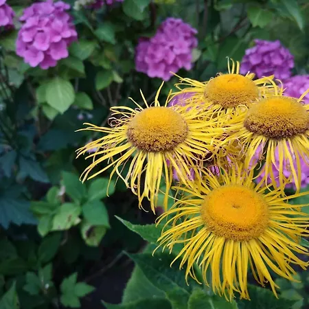 4 Person In Hejls-by Traum * Hejls