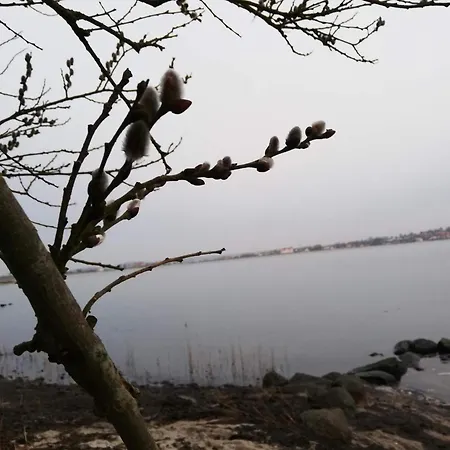 4 Person In Hejls-by Traum Διαμέρισμα Hejls