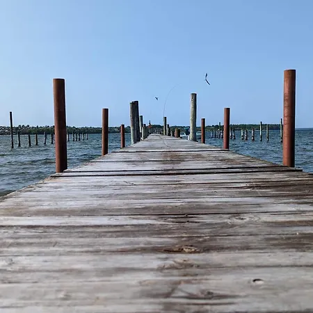 4 Person In Hejls-by Traum * Hejls