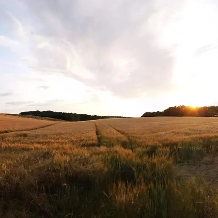 Appartement 4 Person In Hejls-by Traum Hejls