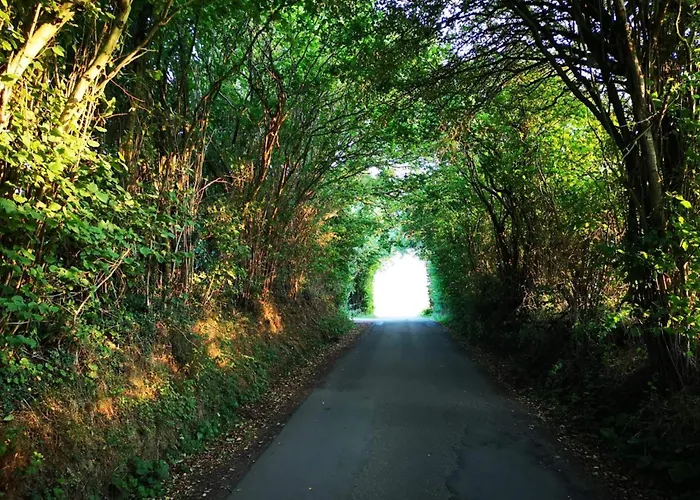 4 Person In Hejls-by Traum Διαμέρισμα *