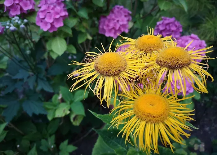 4 Person In Hejls-by Traum * Hejls