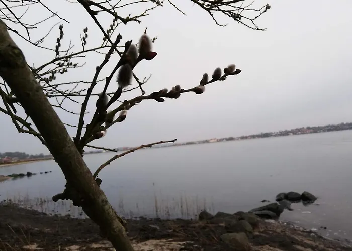 4 Person In Hejls-by Traum Διαμέρισμα Hejls