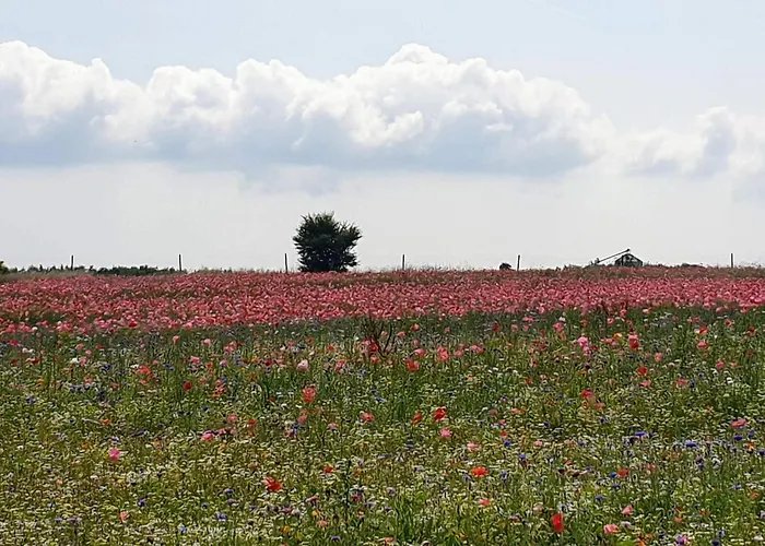 4 Person In Hejls-by Traum *